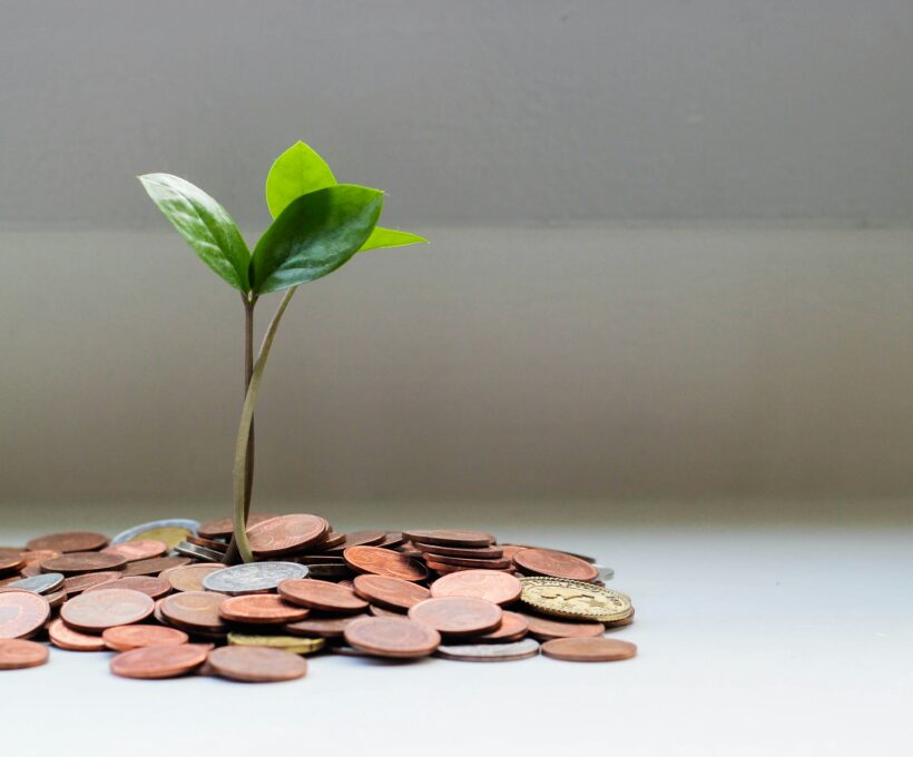 Investiranje-u-DOO-STAV-LAW